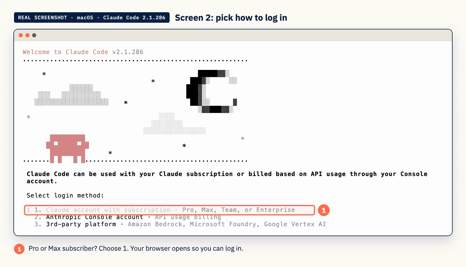 Real screenshot: first run, pick how to log in