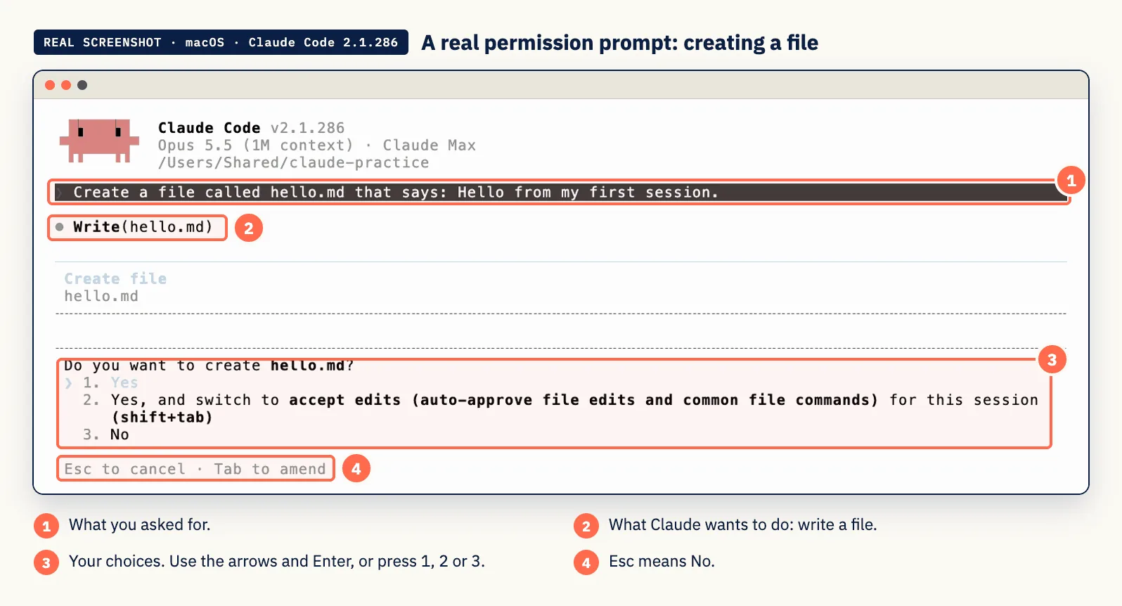 Real screenshot: permission prompt to create a file