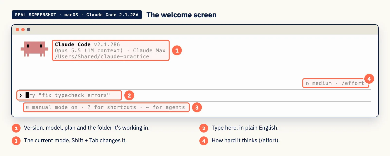 Real screenshot: the Claude Code welcome screen